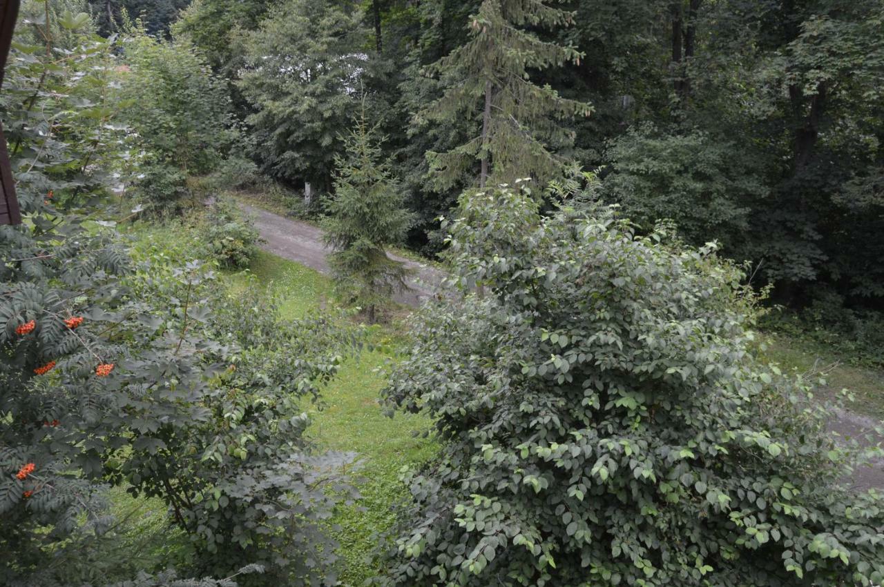 Chata Adrian Slovak Paradise Spišské Tomášovce Exterior foto